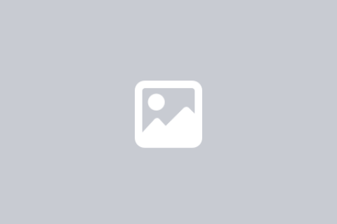 Ч.Хүрэлбаатар: З.Энхболд тэргүүтэй АН-ынхан 2016 оны сонгуульд оролцох эрхгүй