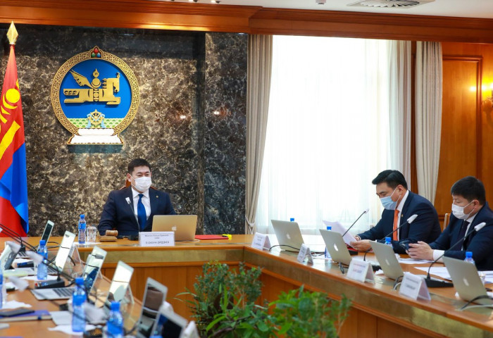 ЗГ: Наадмын амралтын өдрүүдэд аялах гэр бүлийн гишүүдээс 1 хүнийг түргэвчилсэн шинжилгээнд хамруулна
