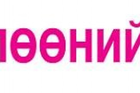 Д.Цогтбаатар: “ГОК” болон “УБТЗ”-ыг барьцаанд тавь­сан гэдгийг “Стандарт” банкны зүгээс хэлээд байгаа