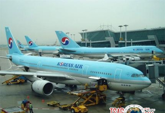 Х.Энхманлай: “Korean air” компани хүний эрхийг уландаа гишгэсэн