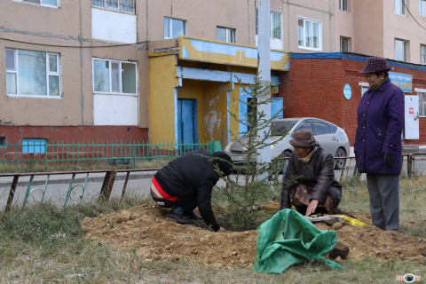 Үндэсний мод тарих өдрөөр СХД “Номын сантай цэцэрлэгт хүрээлэн” байгууллаа