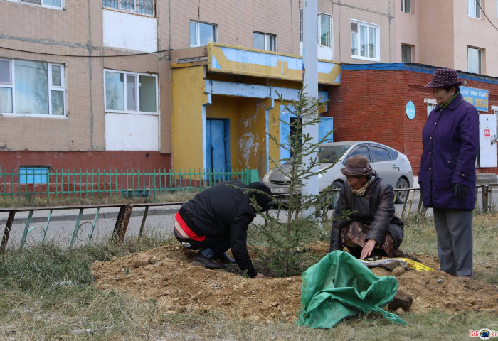 Үндэсний мод тарих өдрөөр СХД “Номын сантай цэцэрлэгт хүрээлэн” байгууллаа