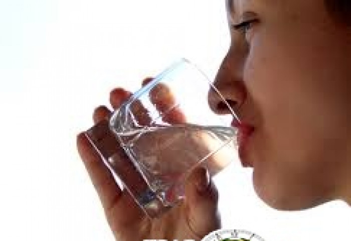 Таван аяга ус ууж хэвшихэд савны хавдрын магадлал 50 хувь буурдаг