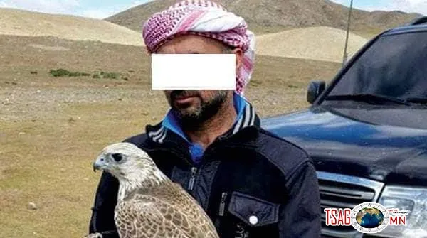 Арабууд БОАЖЯ-ны зөвшөөрөлтэйгээр шонхор барьсан байж магадгүй гэв