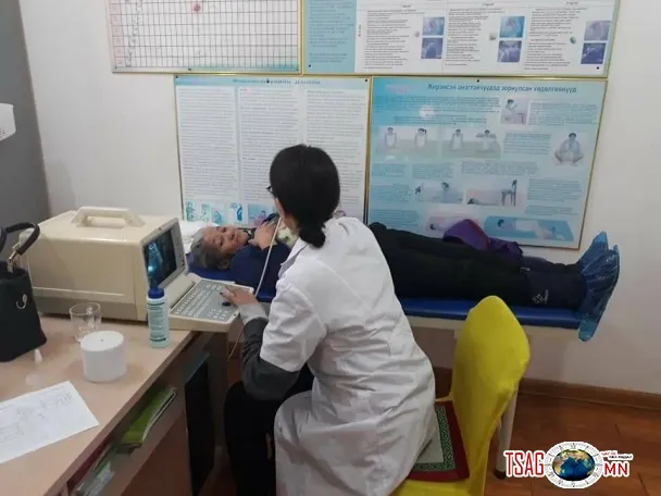 Мэргэжлээс шалтгаалсан өвчний өнөөгийн байдал