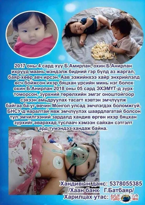 Ихэр зүрхэнд амьдрал бэлэглэе