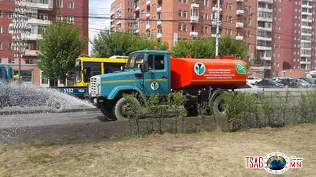 Нохойноос хүнд халддаг өвчнөөс урьдчилан сэргийлэхэд анхаарна