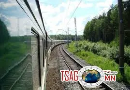 Толгойтоос Амгалан өртөө хүртэл 8000 улиас мод тарина