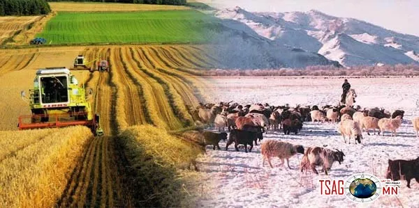 Оройтсон ч гэсэн оносон шийдвэр  гаргасан нь олз